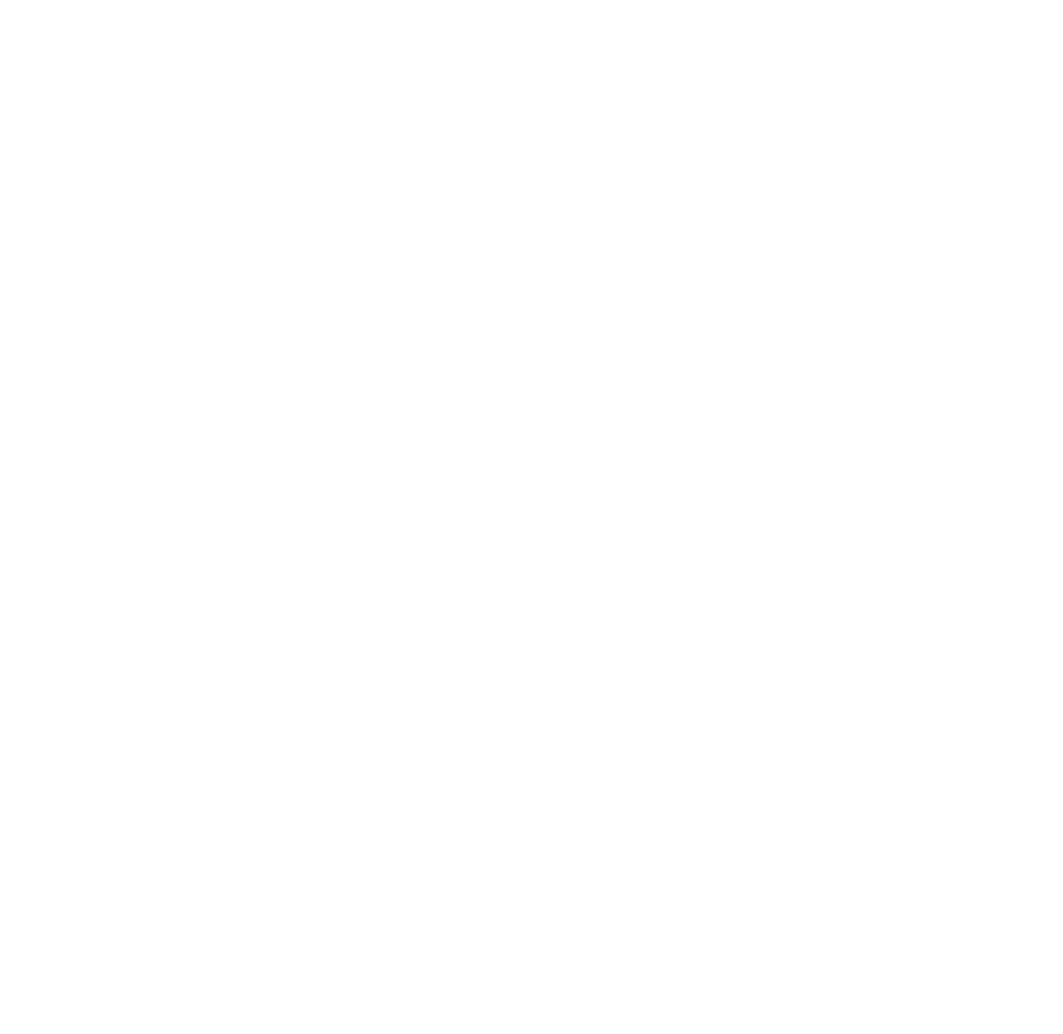 business-manager-icon